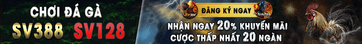 Banner i9bet